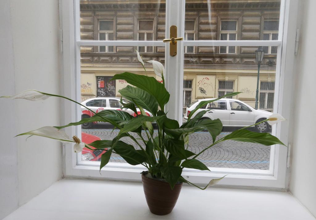 Greg Kampa Apartament Praga